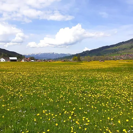 Hartmann's Nescht Apartman *